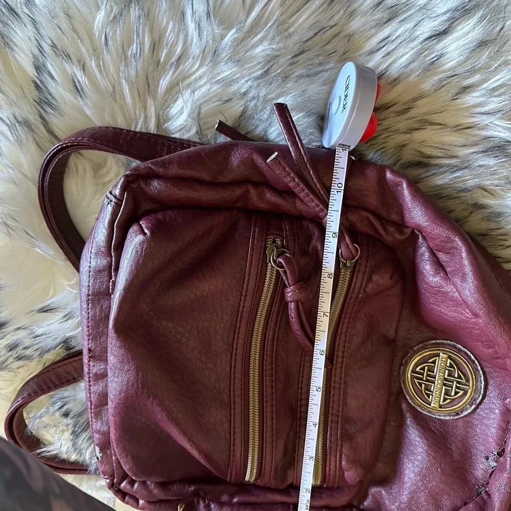 Stone Mountain Accessories Red Backpack with Gold Accents